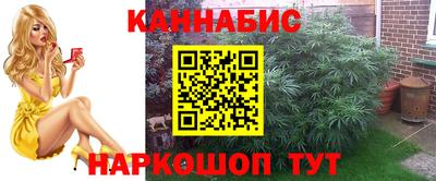 меф Гатчина
