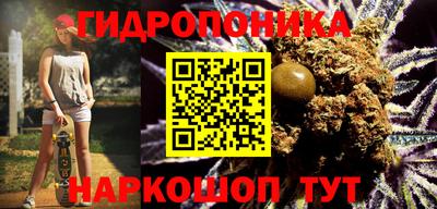 меф Гатчина