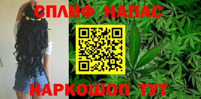 меф Гатчина