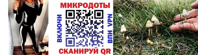 дарнет шоп  Коломна  Псилоцибиновые грибы прущие грибы 